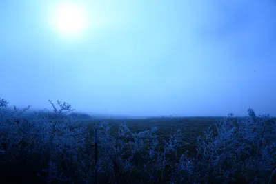 DSC_1035 (Large).JPG